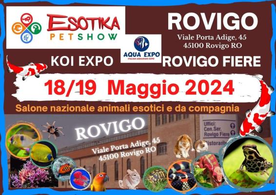Special Turtles ti aspetta il 18/19 Maggio in Fiera Esotika pet show a Rovigo 