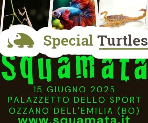 Esposizione di animali esotici, colori vivaci e natura selvaggia a Ozzano dell'Emilia.