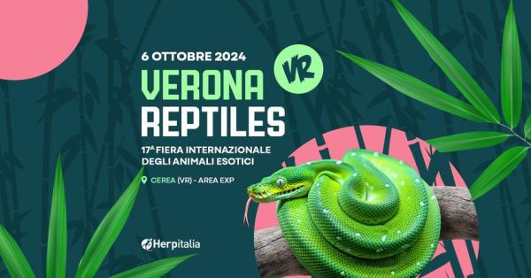 VERONA REPTILES DOMENICA 06 OTTOBRE 2024