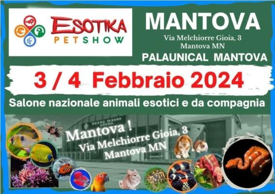 Special Turtles sarà presente in Fiera a  MANTOVA  3/4 Febbraio presso Palaunical Mantova