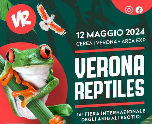 Special Turtles ti aspetta il 12 Maggio al Verona Reptiles Cerea